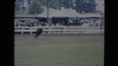 1951: professional equestrian riding a beautiful horse through a fenced in area