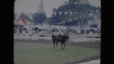 1951: woman riding a horse CLEVELAND, OHIO