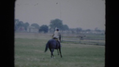 1951: horse and rider leap over a series of fences in a field CLEVELAND, OHIO