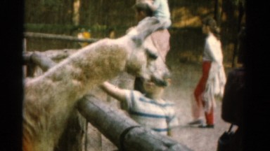 1962: children at petting farm CATSKILL, NEW YORK