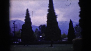 1968: a view of a cemetery at dusk with cedar trees in the foreground