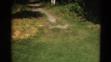 1949: view down woodland path with grass and trees on a fair weathered day