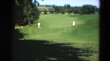 1949: outdoor greenery garden beautiful lush beauty MINNESOTA