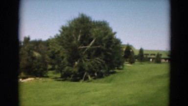 1949: outdoor greenery garden beautiful lush beauty MINNESOTA