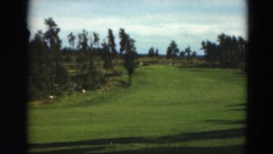 1949: view garden trees golf course MINNESOTA