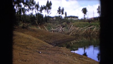 1966: a view of a the bank of a pond with reeds, trees, and a village CALIFORNIA