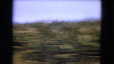 1966: driving quickly around the corn fields. CALIFORNIA