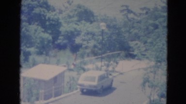 1976: Car and Street One Car Around Car on the Street Tree and Green Colour