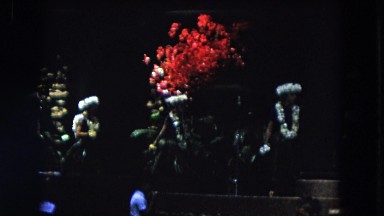 1966: Women in Grass Skirts Performing Group Hula Dance California