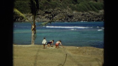 1966: Palm Tree Blowing Calmly in the Wind Hawaii
