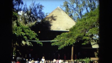 1966: people gathered outdoors in the sun under large tree limbs HAWAII