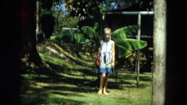 1966: A Beautiful Young Girl Standing Near a Plantain Tree in Waikiki, Hawaii