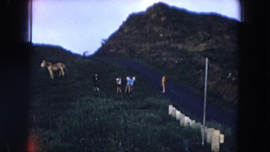1966: horse on the way side and girls hanging out HAWAII