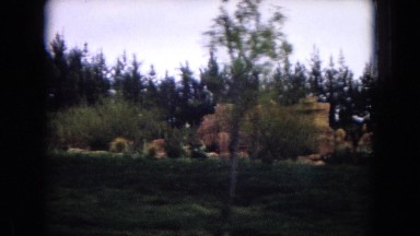 1967: driving by a view of nature DISNEYLAND, CALIFORNIA