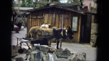 1967: horses hooked up by an old house DISNEYLAND, CALIFORNIA