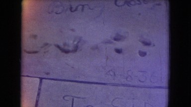 1967: walk of fame handprint1943 1933 concrete impressions stars CALIFORNIA