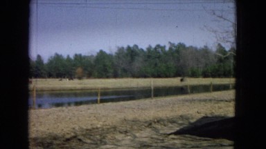 1967: a small lagoon surrounded in its vicinity by sparsely vegetated