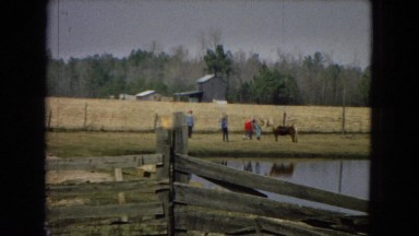 1967: people visiting a farm are petting an animal across a lake with a barn