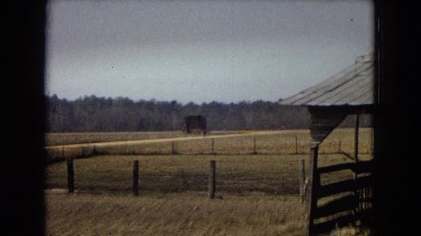 1967: view mountain huge valley shade tree outskirts farming outdoor ARIZONA