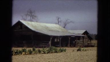 1967: a beautiful old home and barn on a countryside farm ARIZONA