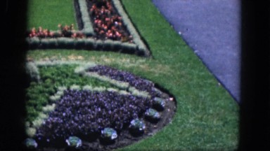 1964: Scenery of a Colorful Flower Garden in Mississippi