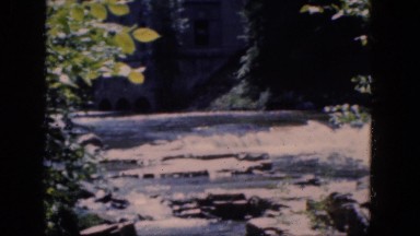 1964: garden scene flowers pretty multi colour MISSISSIPPI