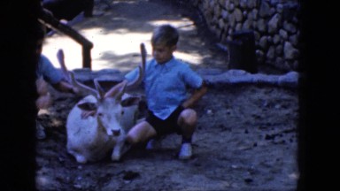 1965: two young boys pet a deer. CALIFORNIA