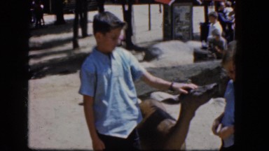 1965: boys petting deer CALIFORNIA