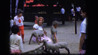 1965: children and animals at a petting zoo playing with baby sheep CALIFORNIA