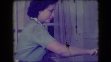 1946: mother cook food cutting chicken back posed NEW YORK