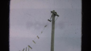 1965: an ape sitting on the top of a utility pole and walking OMAHA, NEBRASKA