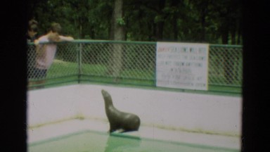 1965: people looking down over a fence into an enclosure with a seal OMAHA