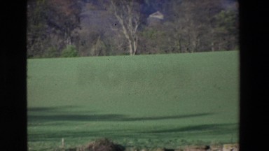 1969: green grassy field along lake shore with pine trees IRELAND