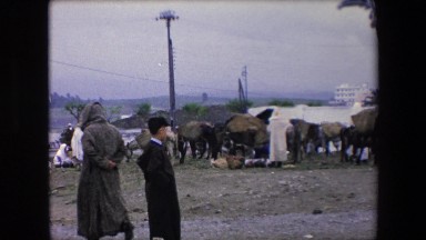1971: goods carried animal mountain view hill station observing kid ALGERIA