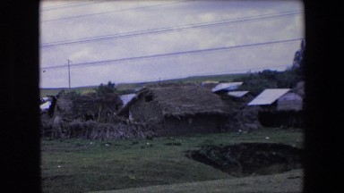 1971: older houses covered in nature. ALGERIA