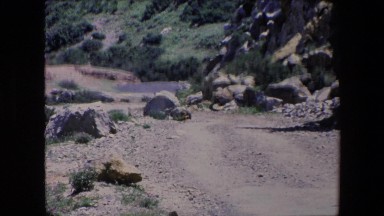 1971: A Sloppy Hillside with Rich Bushes, Stones, and a Narrow Road