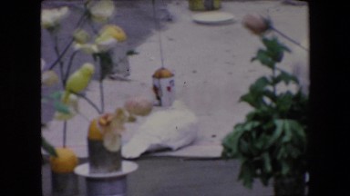 1971: flowers plates party outdoor decorated ceremony ALGERIA