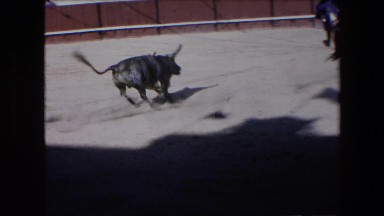 1971: a bull chasing a man with a flag on a horse around a ring SPAIN