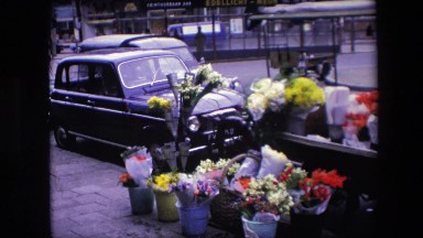 1967: a sidewalk flower stand featuring various types and colors of flowers