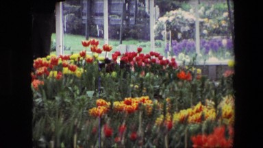 1967: a view of a beautiful gardens AMSTERDAM, NETHERLANDS