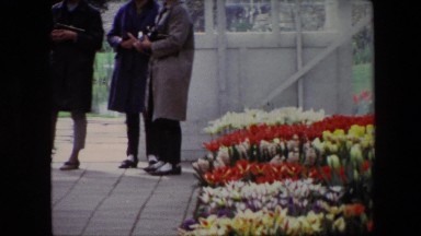 1967: several people visit a facility where it presents a large number of flower