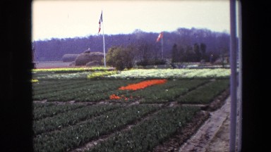 1967: garden scene flowers pretty multi colour AMSTERDAM, NETHERLANDS