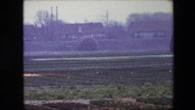1967: row of buildings adjacent crop fields in bloom BRUSSELS, BELGIUM
