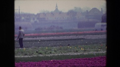 1967: man standing in a field of flowers second man walking