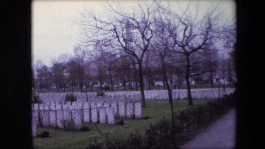 1967: tall trees outdoor garden fenced CALAIS,FRANCE