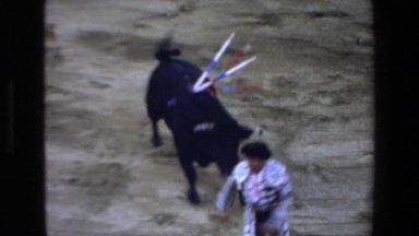 1972: Bull Running After Men with Red Rag in Mazatlan Mexico