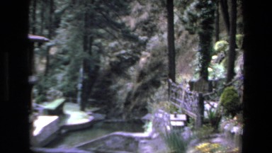 1972: lovely landscape with many types of vegetation and a source of water