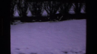 1972: woman playing with her dog out in the snow. MAZATLAN MEXICO