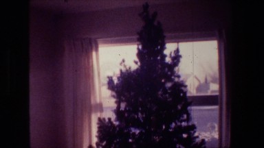 1981: a christmas tree in the 20th century. HOLLYWOOD CALIFORNIA