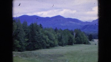 1964: Trees Mountain Nature Together Personified Beauty Niagra Falls New York